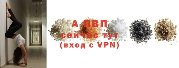 трава Надым