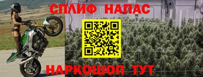 эйфоретик Донецк